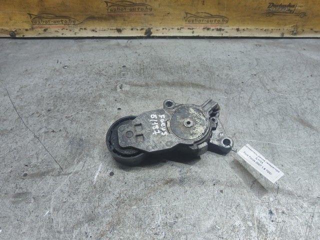 Натяжитель ремня генератора IL110X Ford Focus купить с доставкой