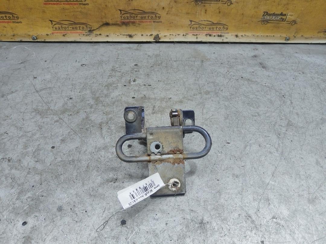 Петля двери задней левой 2E7O38 Audi A4 купить с доставкой