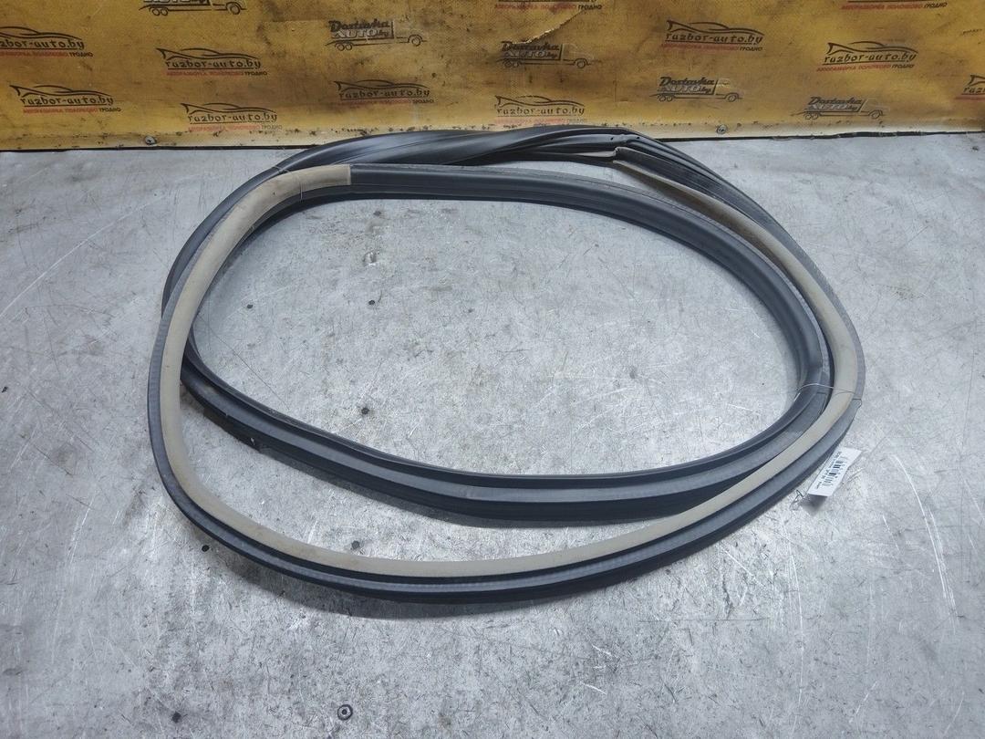 Уплотнитель двери задней правой NODW2W Opel Vectra купить