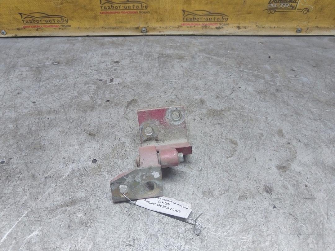 Петля двери передней правой OLKJNN Peugeot 406 купить с доставкой