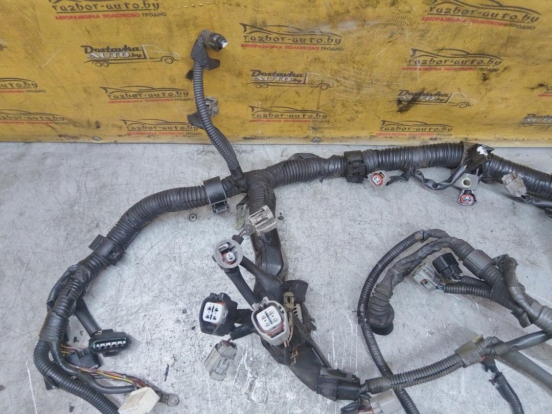 Проводка двигателя UDP6PJ Toyota Avensis купить с доставкой