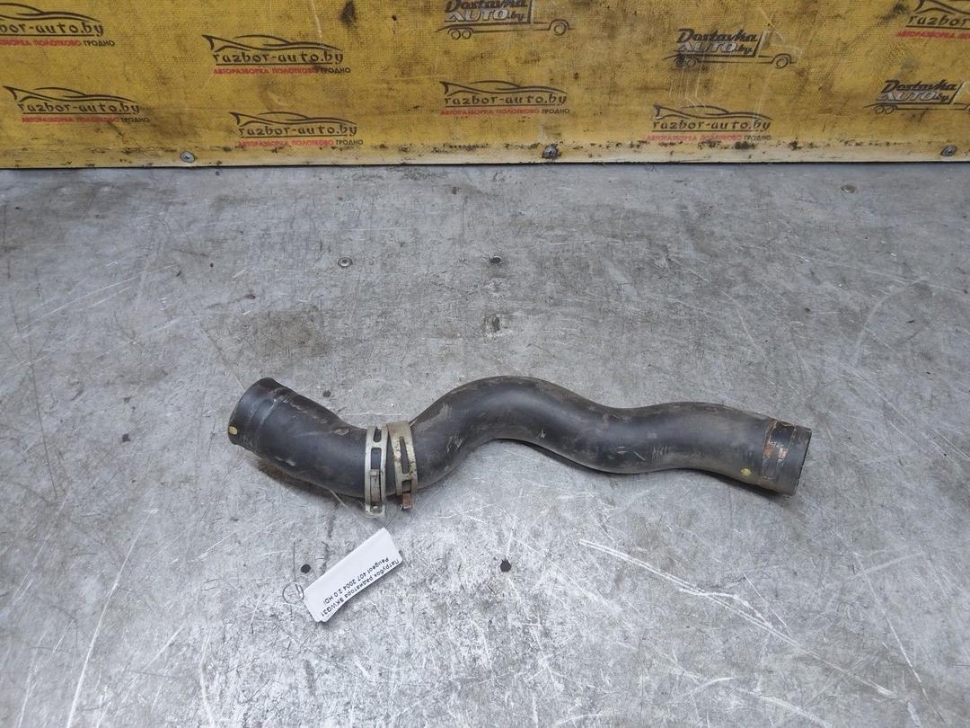 Патрубок радиатора SKWG31 Peugeot 407 купить в магазине запчастей бу