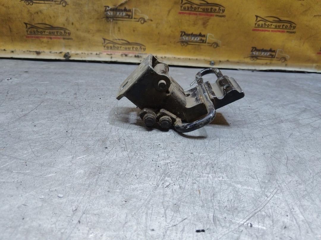 Петля двери задней правой 9LCVX4 Volkswagen Passat