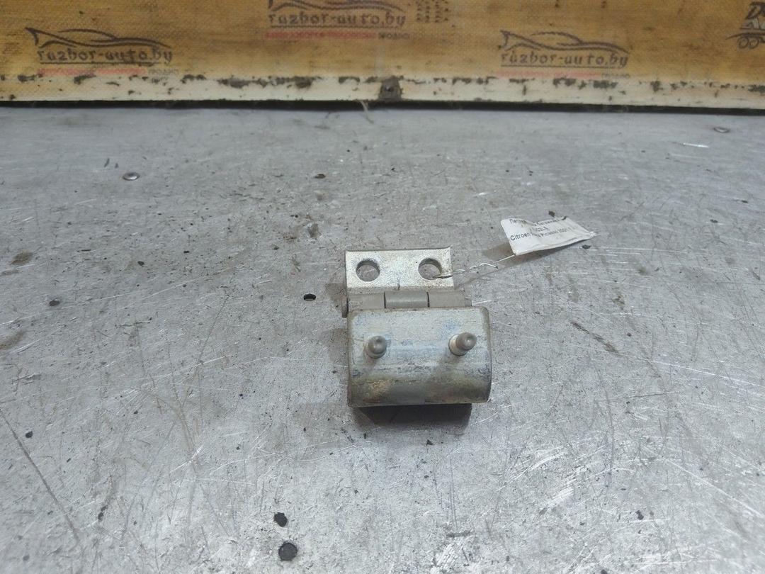 Петля крышки багажника FJC2L5 Citroen Xsara Picasso - Фото 2