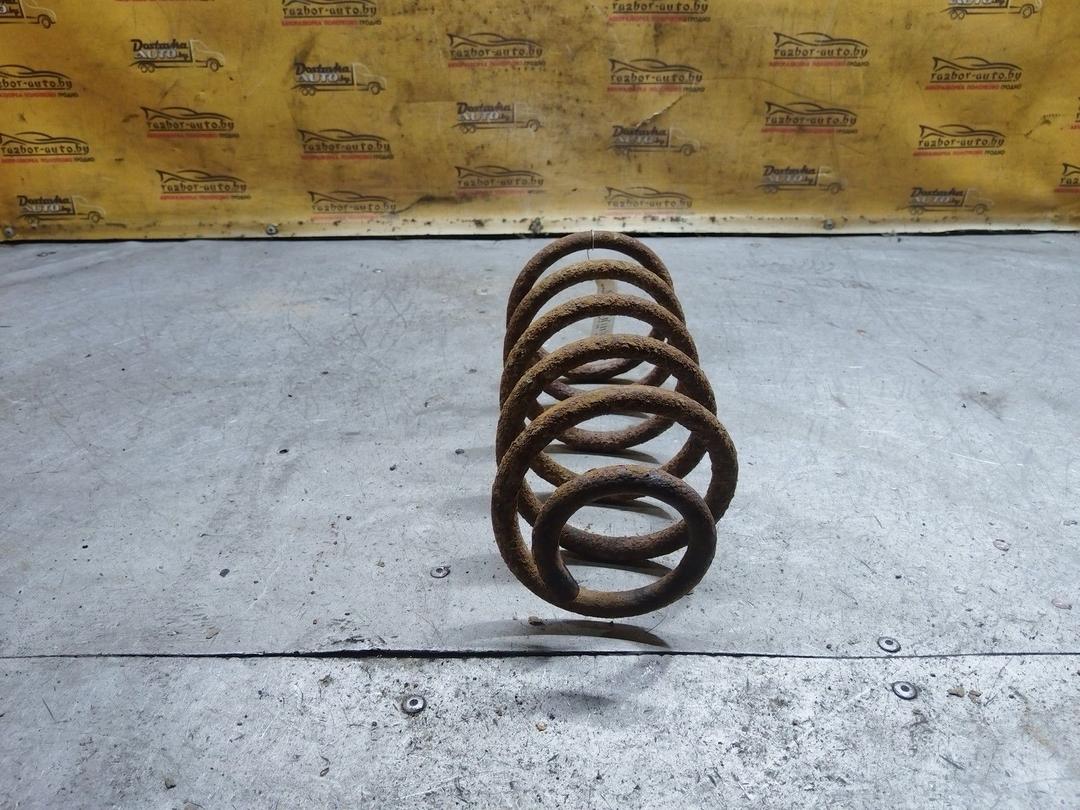 Пружина задняя N9FD4Z Fiat Punto купить с доставкой