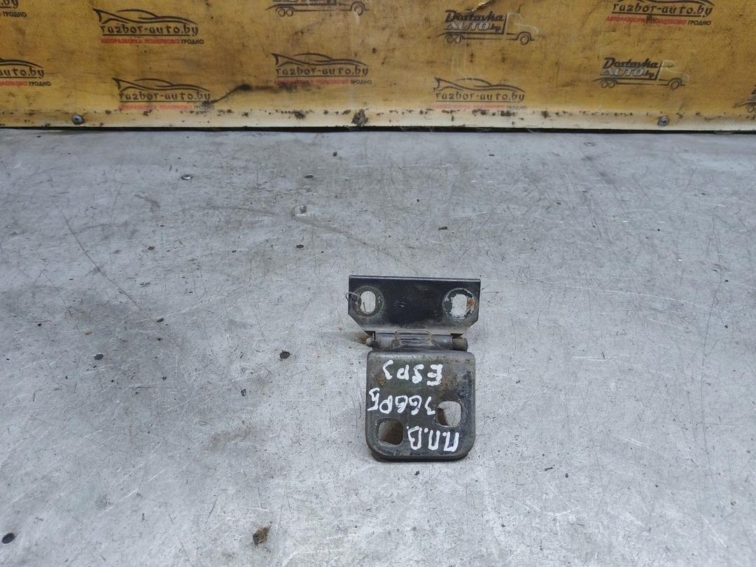 Петля двери передней правой 6BPEWX Renault Espace купить с доставкой