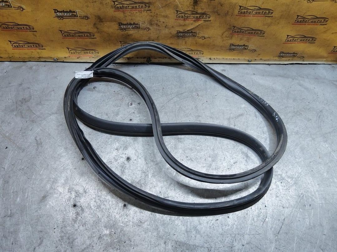 Уплотнитель двери задней левой WGU26S Honda Accord