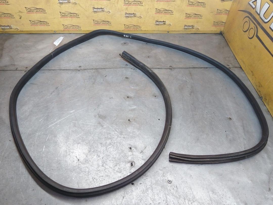 Уплотнитель двери задней левой PCKHY1 Renault Scenic - Фото 1