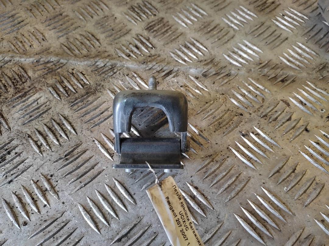 Петля крышки багажника UCIXVC Peugeot 207 - Фото 1