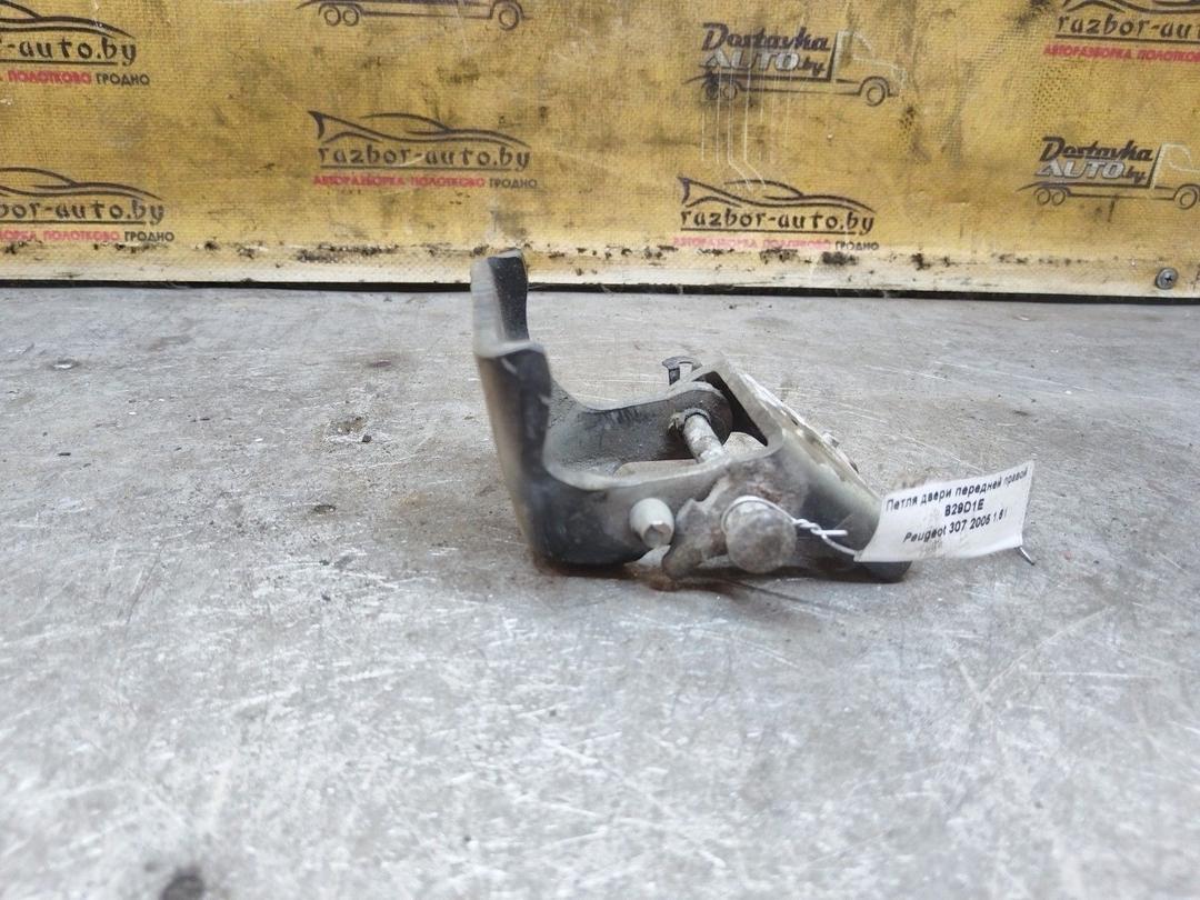 Петля двери передней правой B29D1E Peugeot 307 купить в магазине запчастей бу