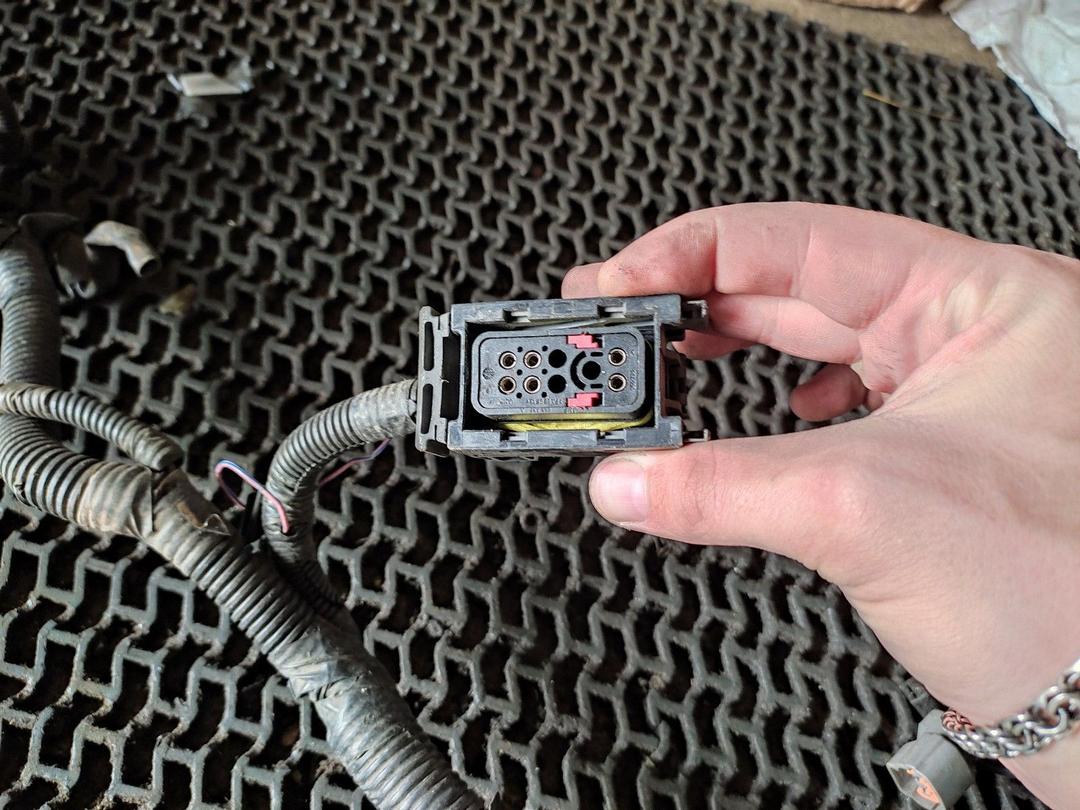 Проводка двигателя GGVBRX Nissan Almera Tino купить в магазине запчастей бу