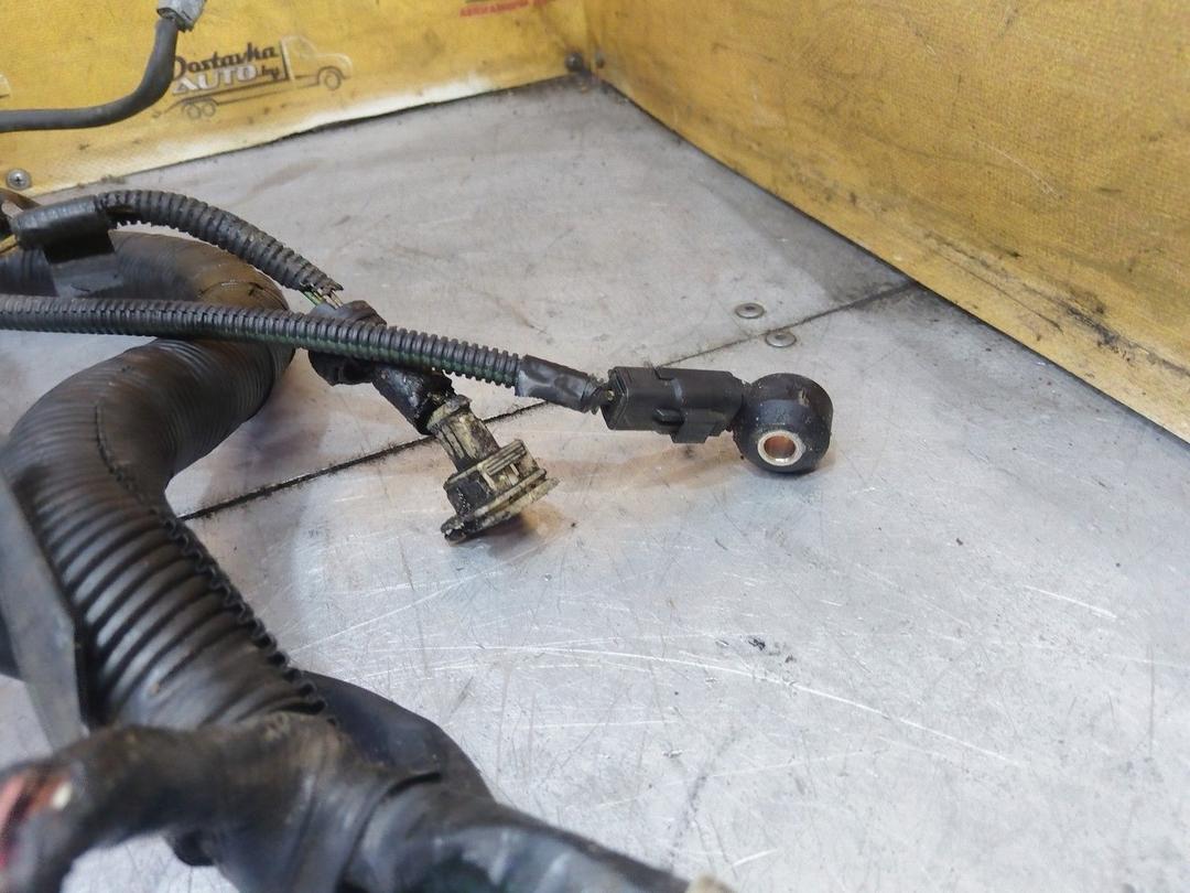 Проводка двигателя 9HH1P7 Citroen Xsara Picasso купить с доставкой. Огромный выбор запчастей и марок авто. У нас есть практически все.