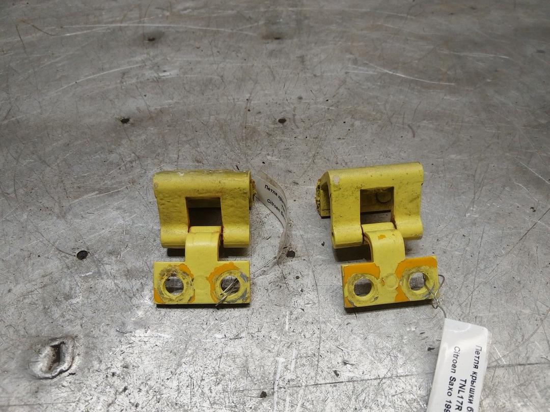 Петля крышки багажника TNL17R Citroen Saxo