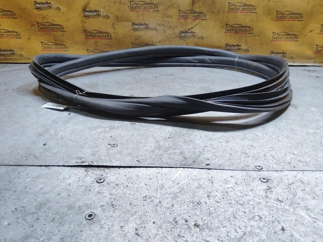 Уплотнитель двери передней левой AOUGC6 Citroen C3 купить