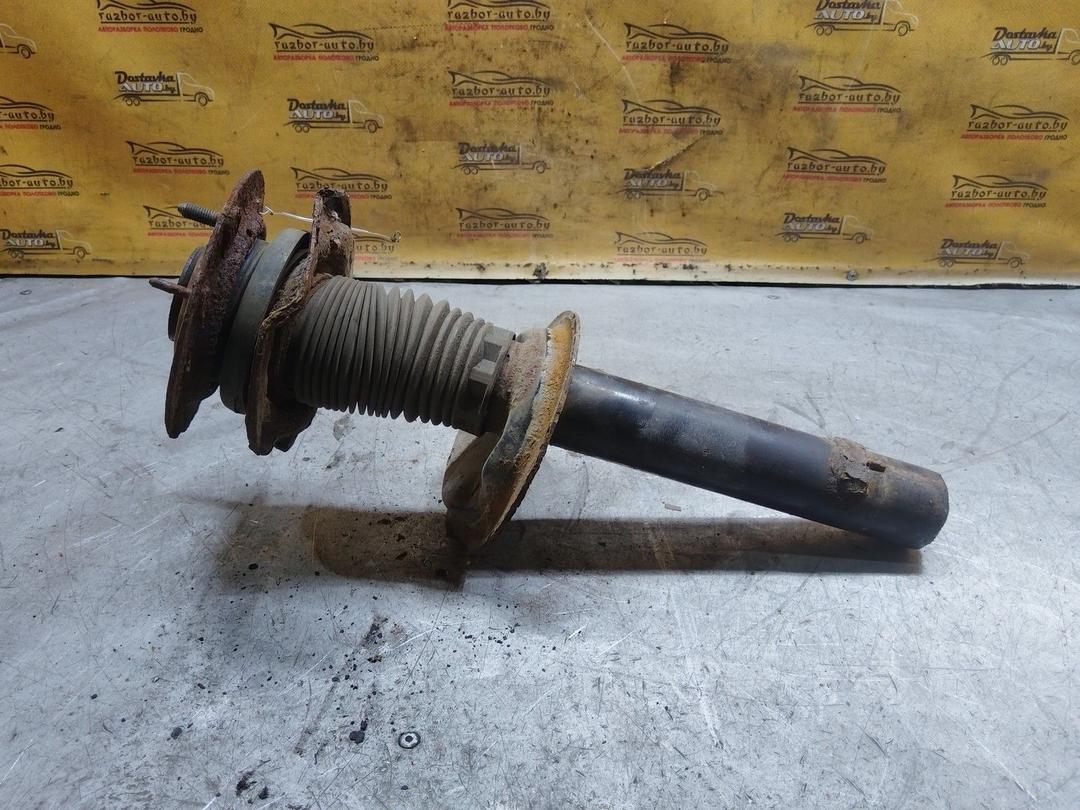 Амортизатор передний правый BYK58Z Peugeot 405 купить в магазине запчастей бу