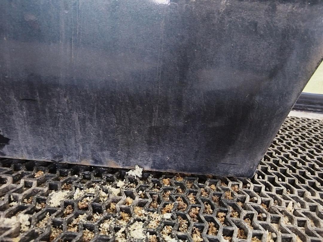 Дверь задняя левая Y25KM2 Renault Safrane купить в магазине запчастей бу