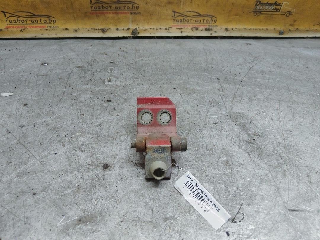 Петля двери передней левой SRS78W Peugeot 206 купить с доставкой