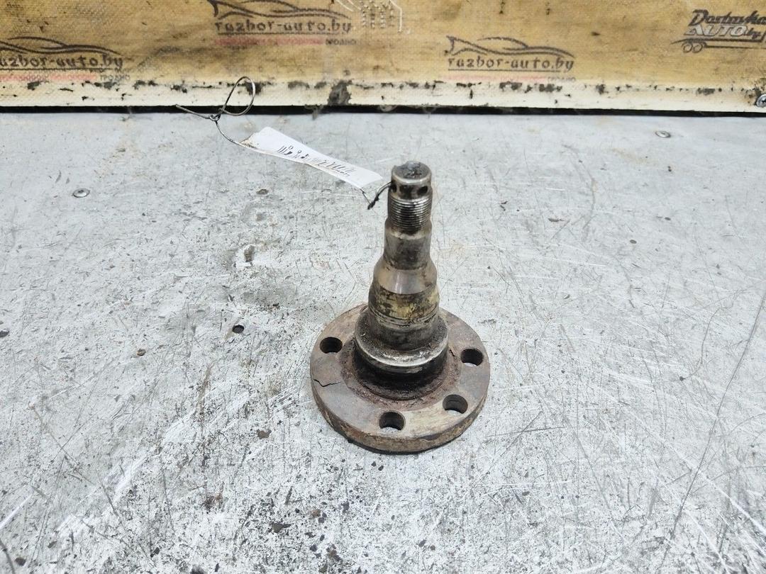 Цапфа задняя (ось ступицы) 425ZZE Volkswagen Passat - Фото 2