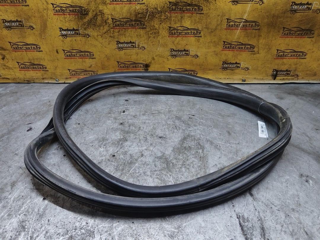 Уплотнитель двери задней правой 5NE2GR Hyundai Getz - Фото 4