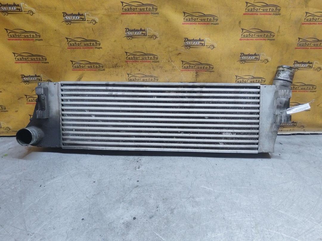 Интеркулер 51AI5O Renault Scenic купить