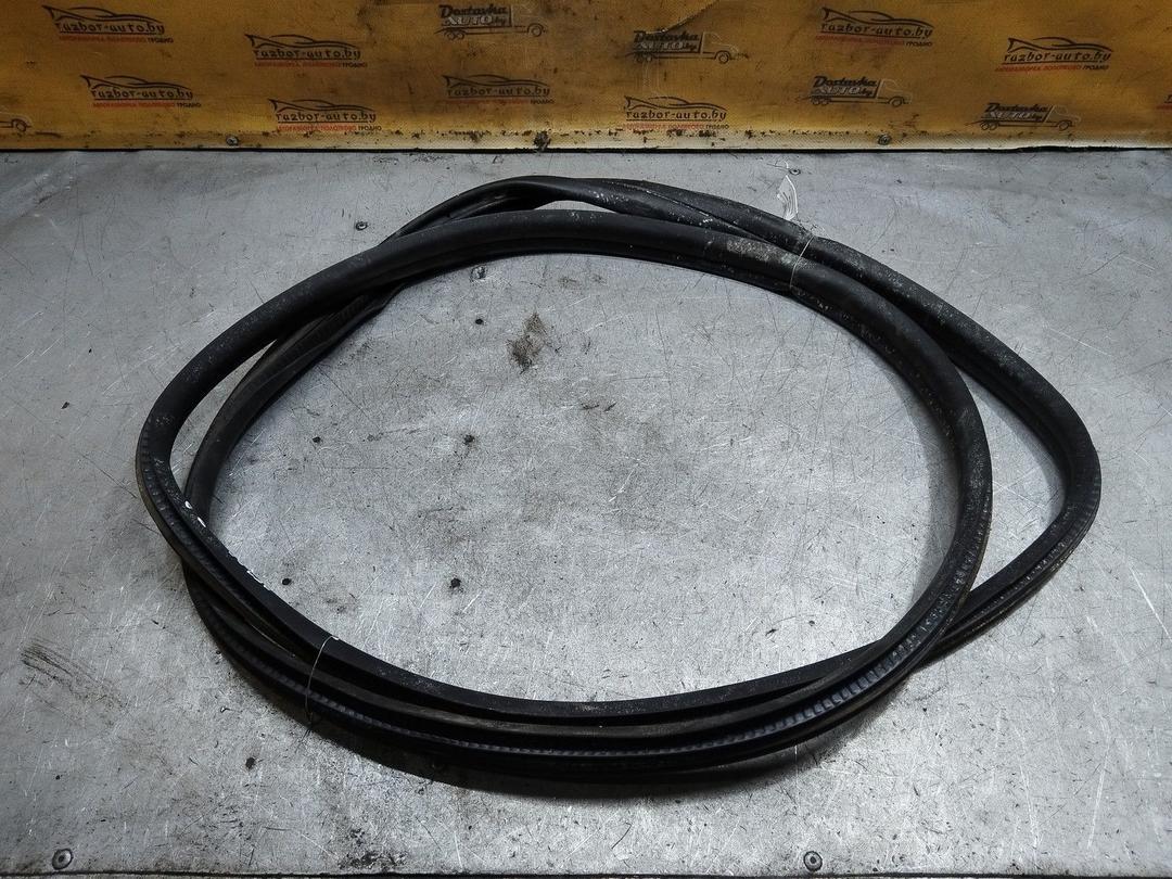 Уплотнитель двери задней правой 0JP790 Skoda Fabia