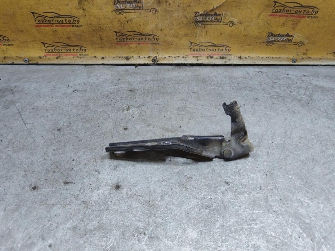 Петля капота правая 37PN43 Seat Toledo купить с доставкой