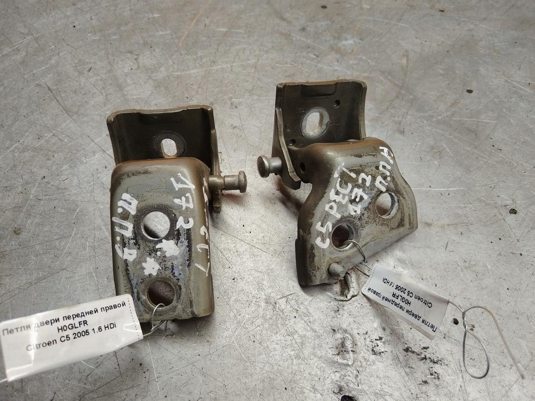 Петля двери передней правой H0GLFR Citroen C5 - Фото 1