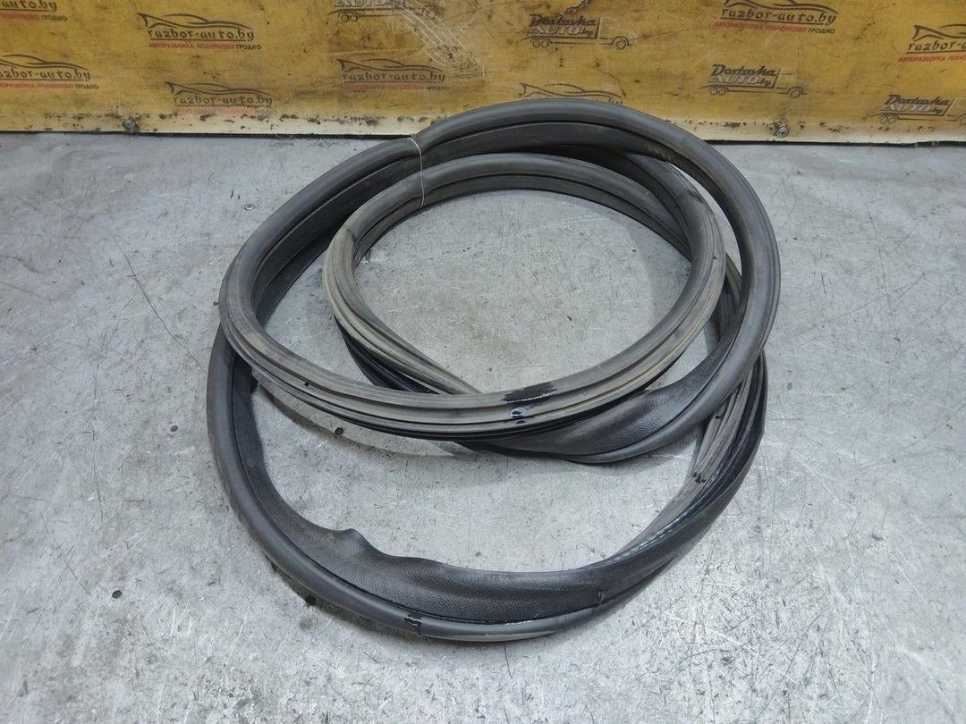 Уплотнитель двери задней правой 0ENMRH Fiat Linea - Фото 2