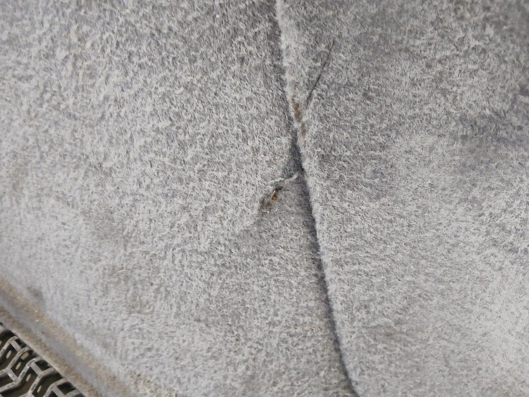 Обшивка багажника QP8X1Y Citroen C5 купить