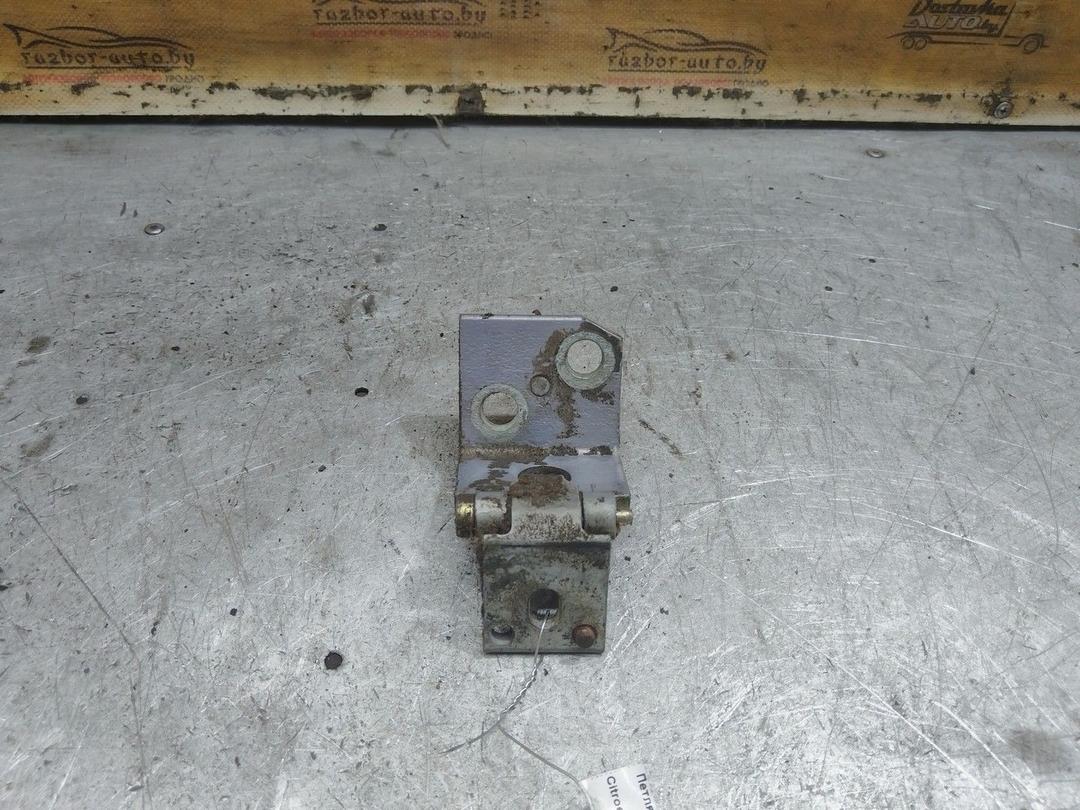 Петля двери задней правой 1RE8AH Citroen Xsara Picasso - Фото 4