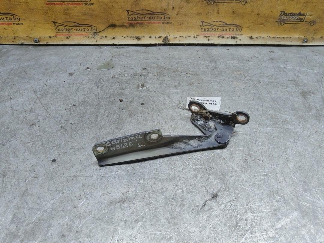 Петля капота левая 61LRS7 Mitsubishi Carisma купить с доставкой
