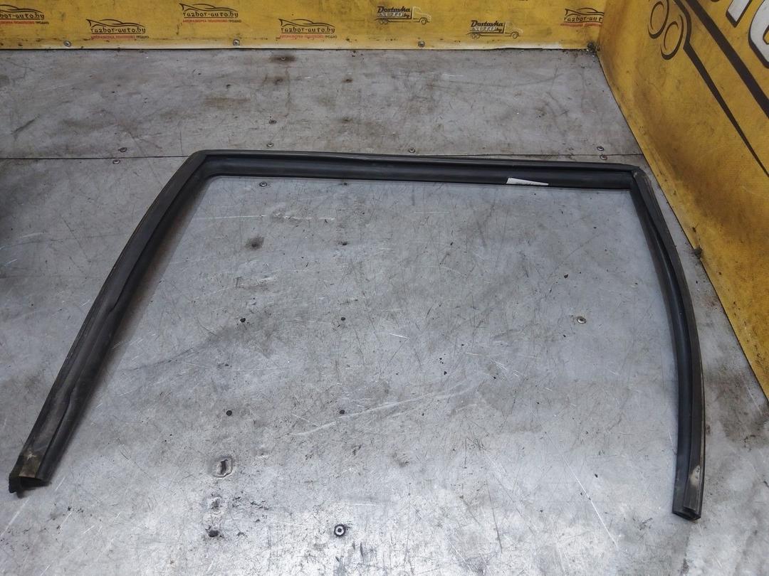 Уплотнитель двери задней левой 4NTGJO Peugeot 406 - Фото 2