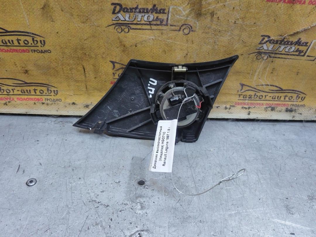 Динамик высокочастотный (пищалка) HGO71C Renault Laguna купить с доставкой