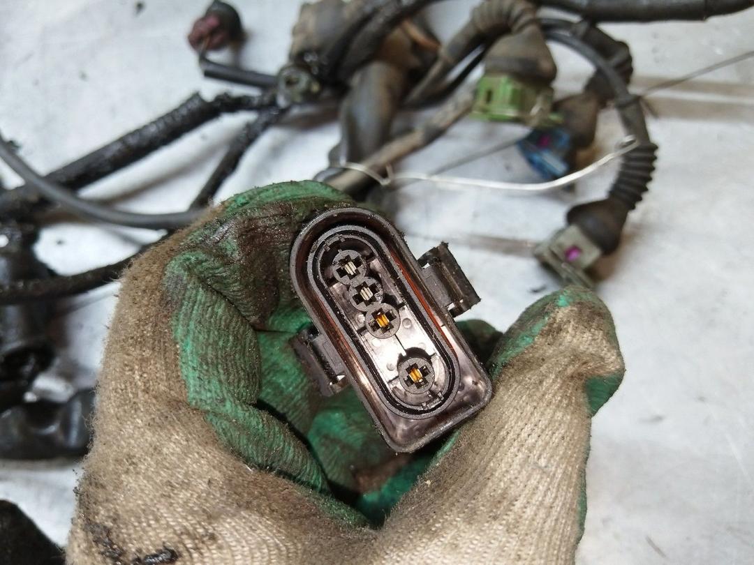 Проводка двигателя 6LEQB7 Audi A4 - Фото 6