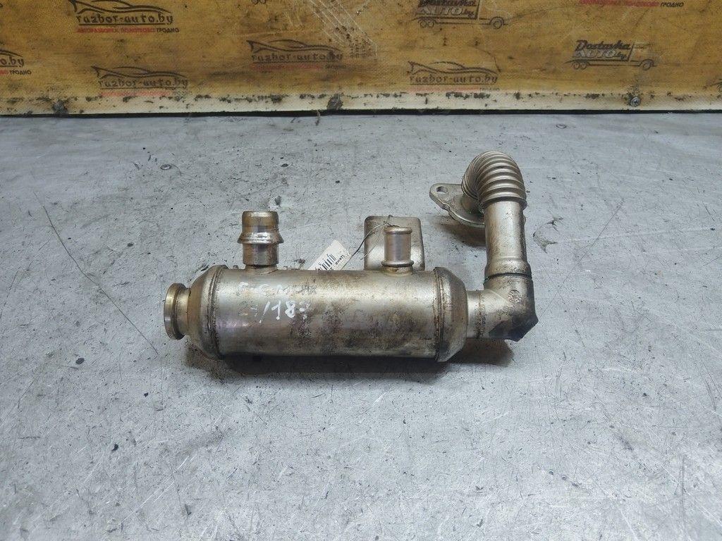 Радиатор EGR PKZGKS Ford C-Max - Фото 2