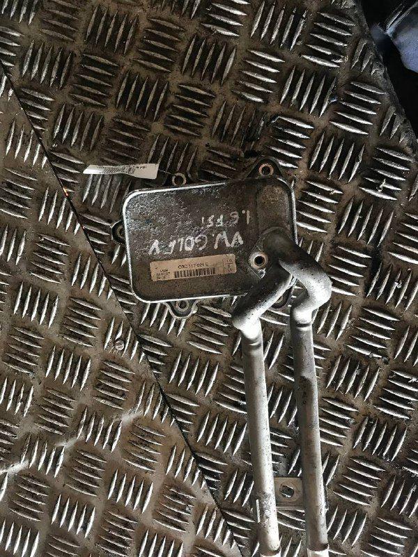 Радиатор масляный ARY1X3 Volkswagen Golf