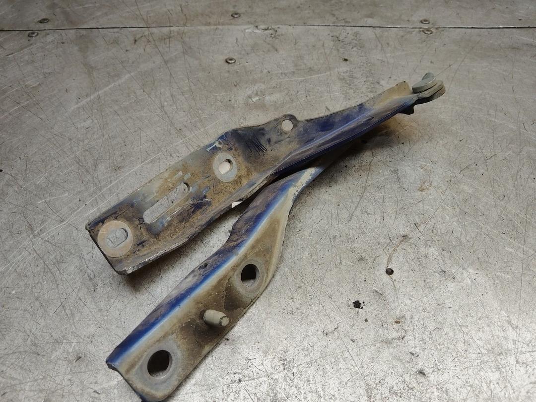 Петля капота N1TY7C Peugeot 307 купить на авторазборке