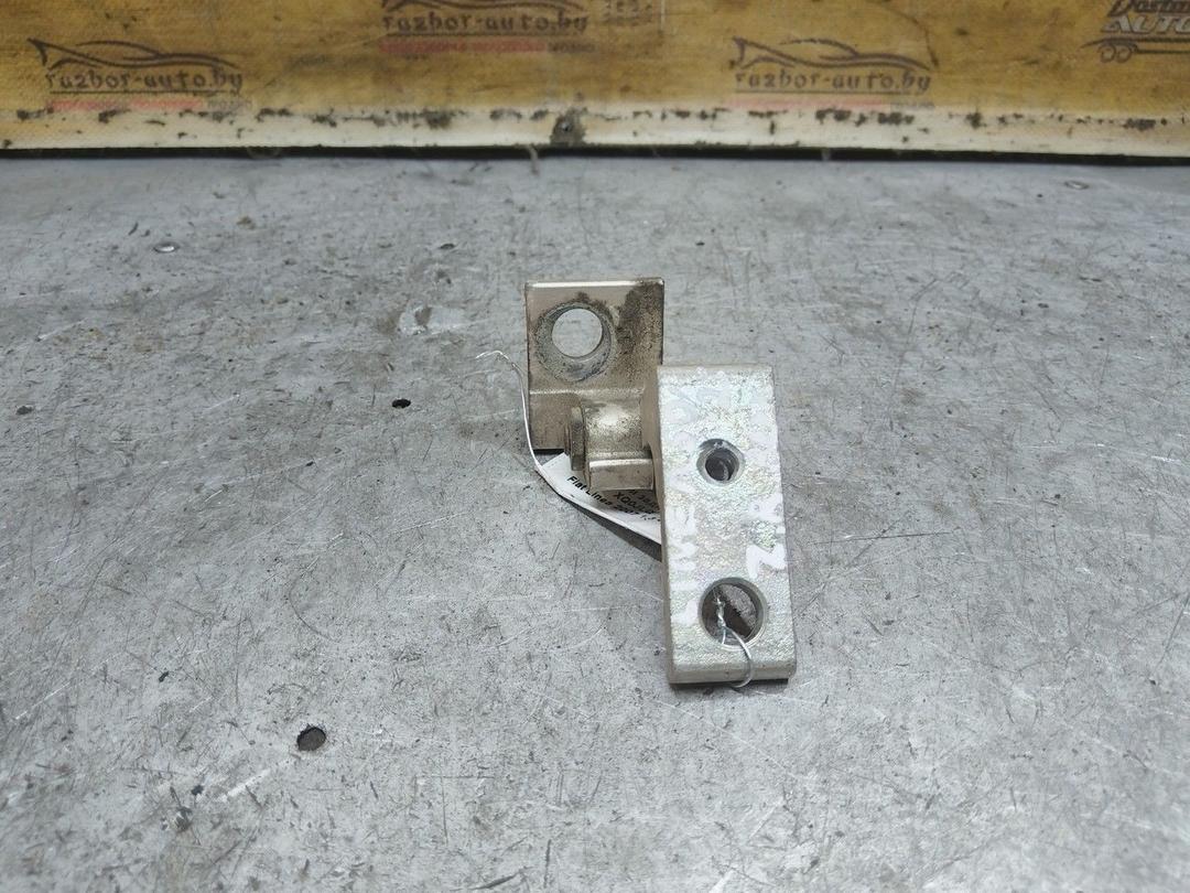 Петля двери задней правой XQ0JLQ Fiat Linea - Фото 4