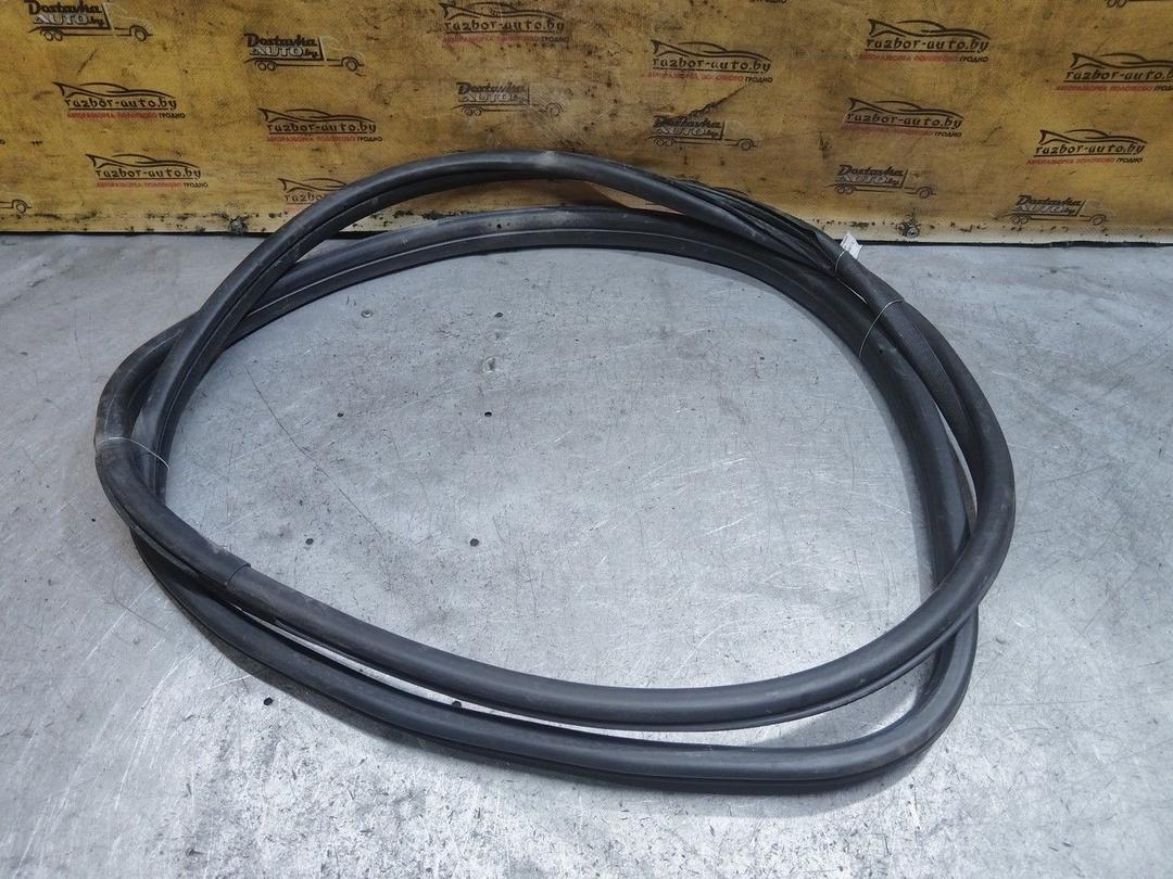 Уплотнитель двери задней левой 3BAG4F Citroen Xsara Picasso - Фото 1