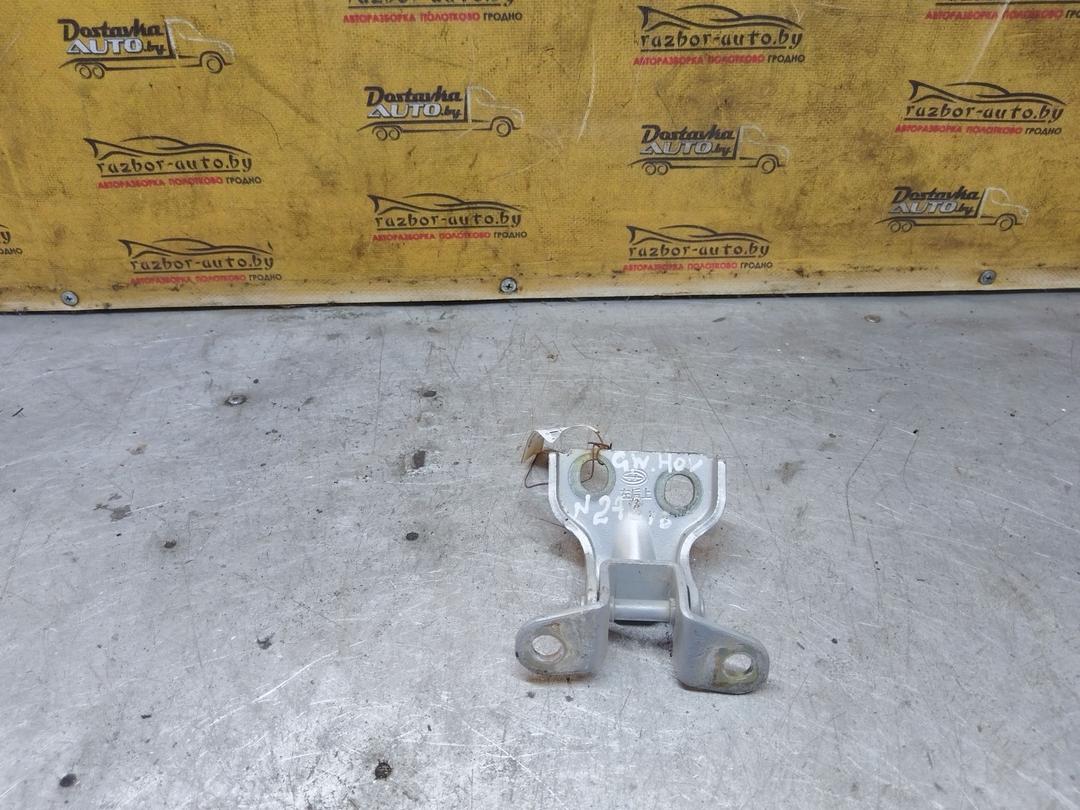 Петля двери задней левой TMV5TY Great-Wall Hover купить с доставкой