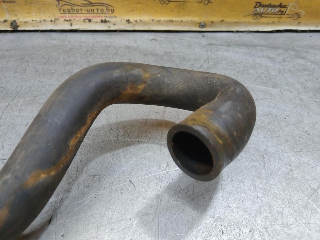 Патрубок радиатора 8EJA4D Renault Laguna купить в магазине запчастей бу
