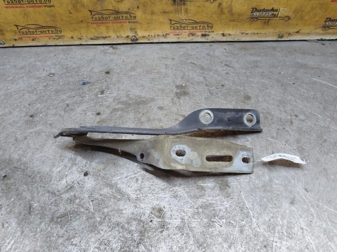 Петля капота левая 2LPGS4 Peugeot 307 купить с доставкой