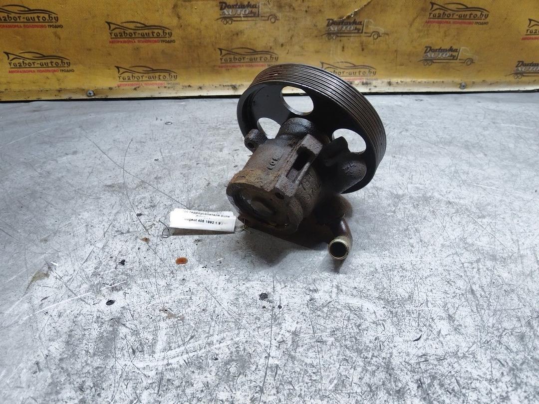 Насос гидроусилителя руля GAYOTY Peugeot 405 купить с доставкой