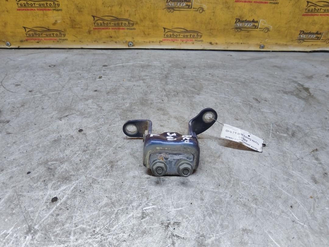 Петля двери задней левой K56CTG Toyota Corolla - Фото 8