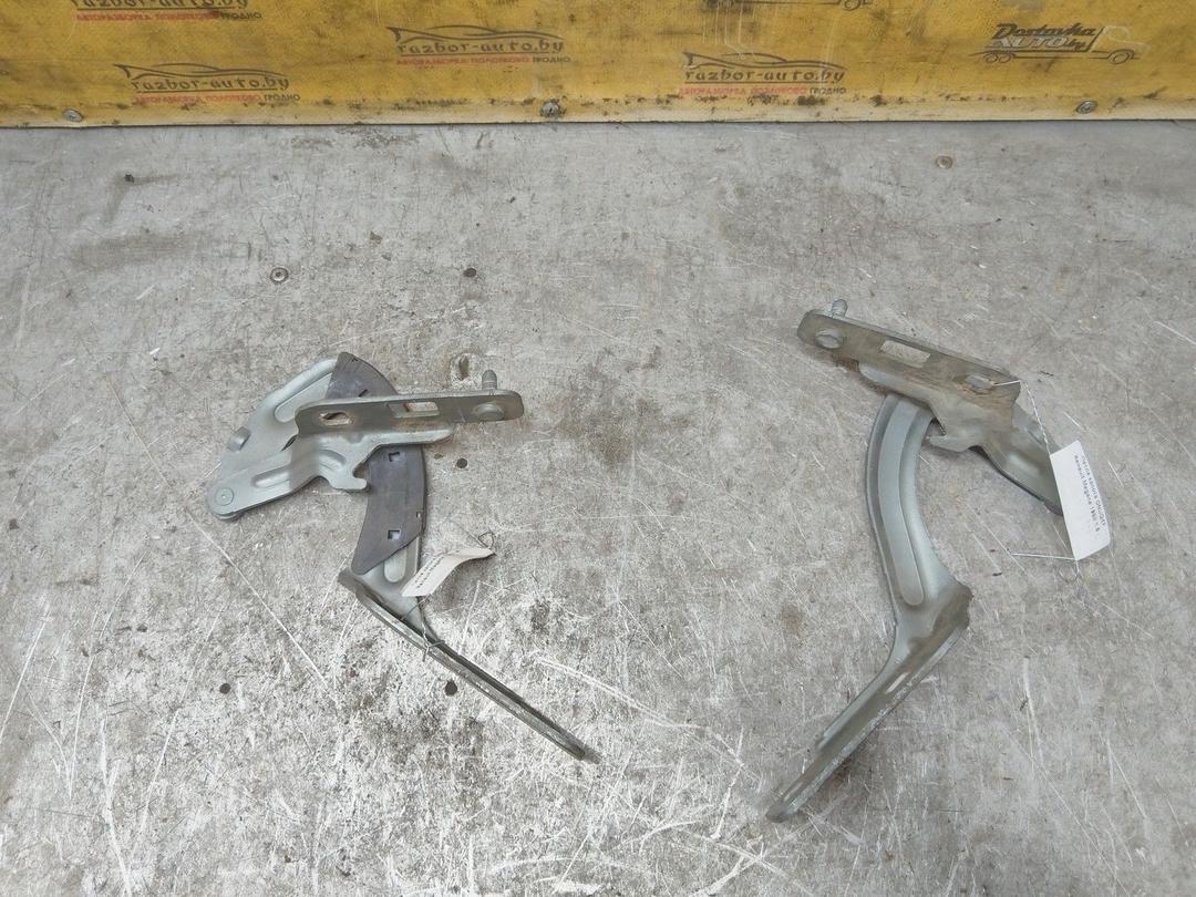 Петля капота ONUQKF Renault Megane купить с доставкой