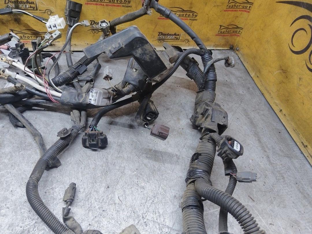 Проводка двигателя 2EYXG2 Toyota Corolla купить в магазине запчастей бу