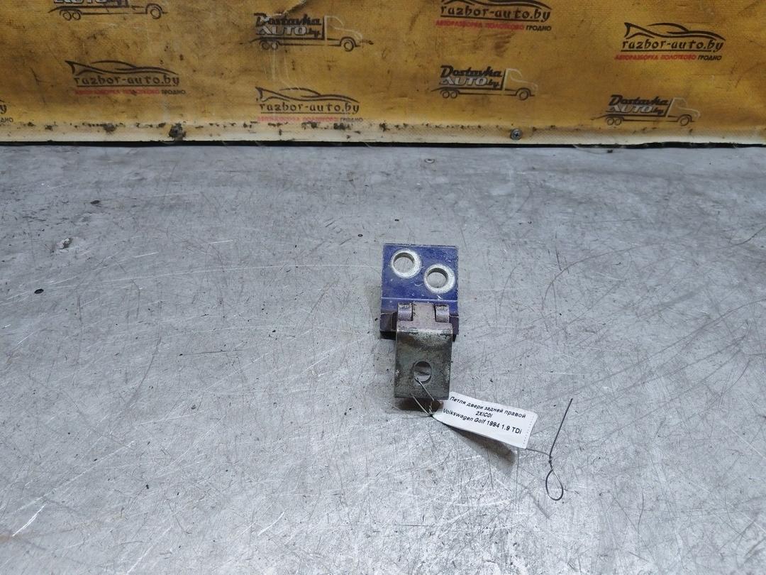 Петля двери задней правой 2XIC0I Volkswagen Golf купить с доставкой