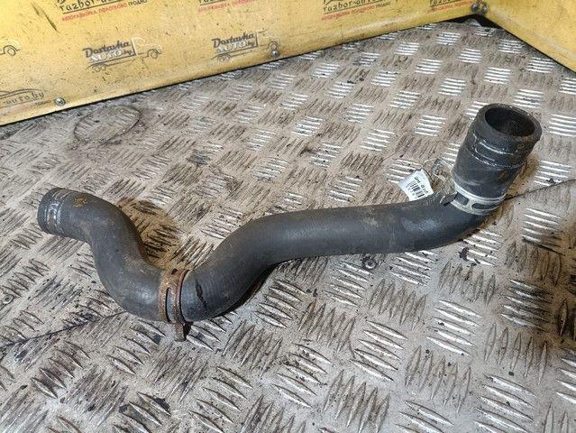 Патрубок радиатора K5Q8CO Peugeot 406 купить