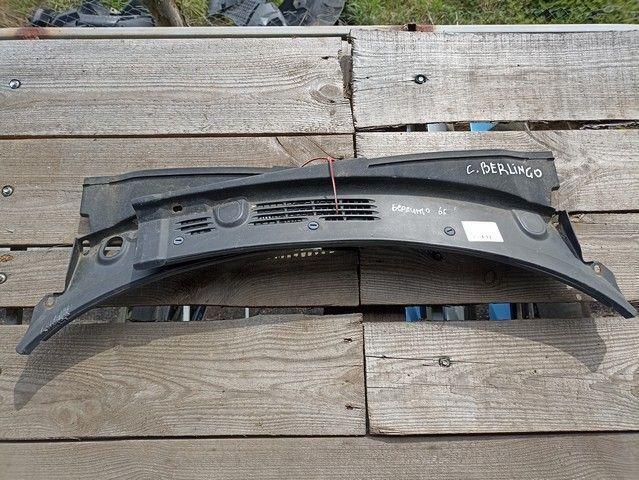Дождевик RYDF0C Citroen Berlingo