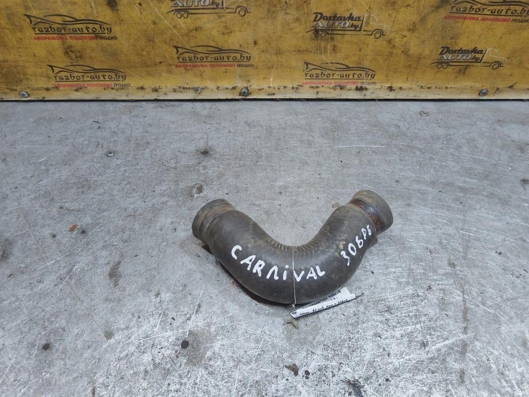 Патрубок радиатора N86ZVE Kia Carnival - Фото 3